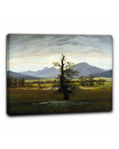 Quadro albero solitario di caspar david friedrich