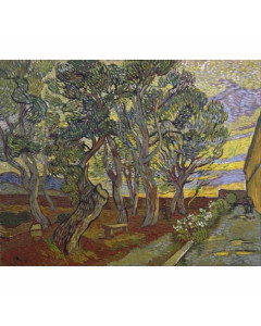 Quadro giardino dell'ospedale saint paul di vincent van gogh