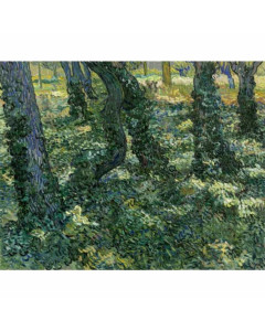 Quadro sottobosco di vincent van gogh