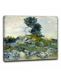 Quadro arles le rocce di vincent van gogh