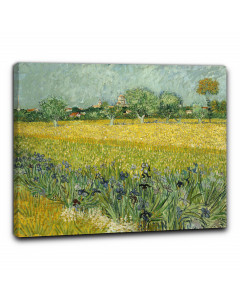 Quadro campo con iris fuori arles di vincent van gogh