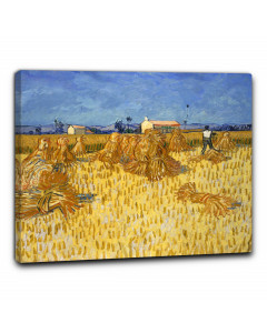 Quadro mietitura in provenza di vincent van gogh