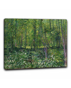 Quadro sottobosco fiorito di vincent van gogh