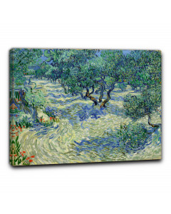 Quadro uliveto in provenza di vincent van gogh