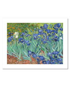 Niik Stampa iris di vincent van gogh 60 x 44 cm